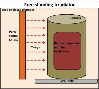 Schematic representation of free-standing irradiator.