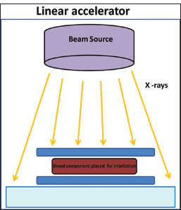 Schematic representation of linear irradiator.