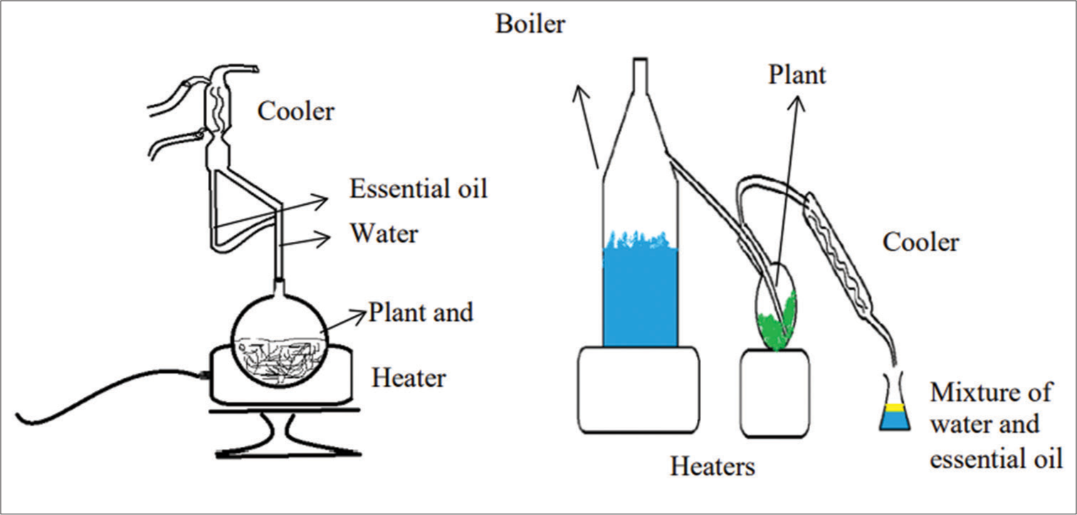 Steam and water distillation method. Source: (Akdağ and Öztürk, 2018).[60]