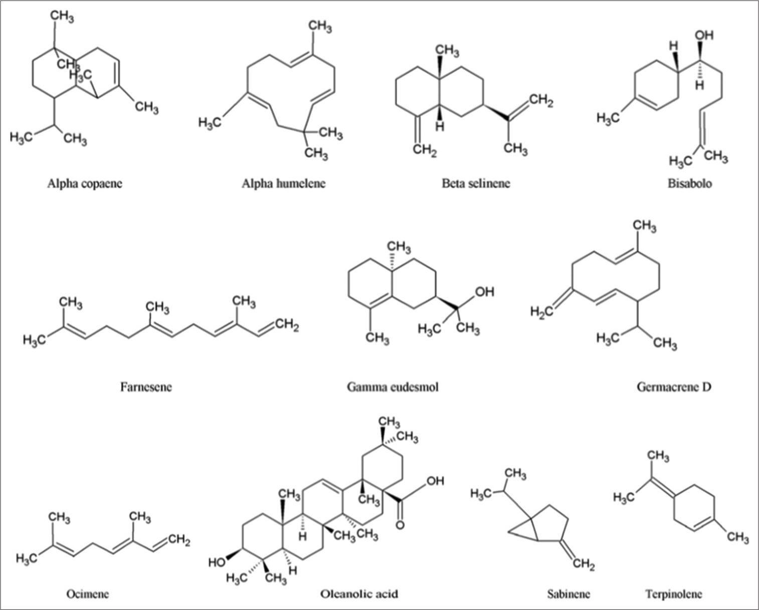 Illustration of active compounds obtained from Ocimum gratissimum. (Source: Akinyemi et al., 2005).[79]