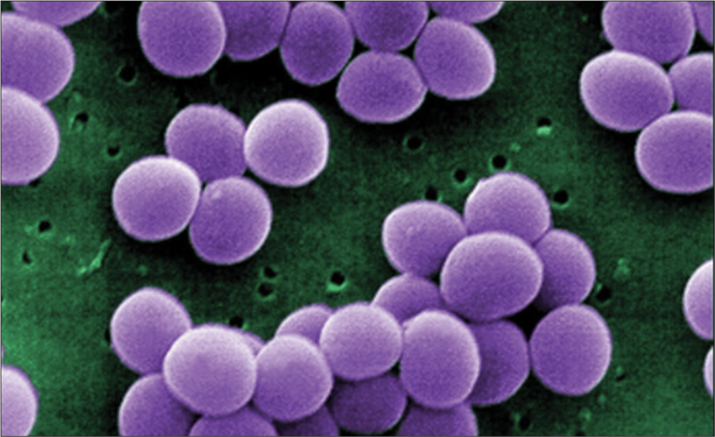 Staphylococcus aureus (Source: Spaulding et al., 2013).[57]