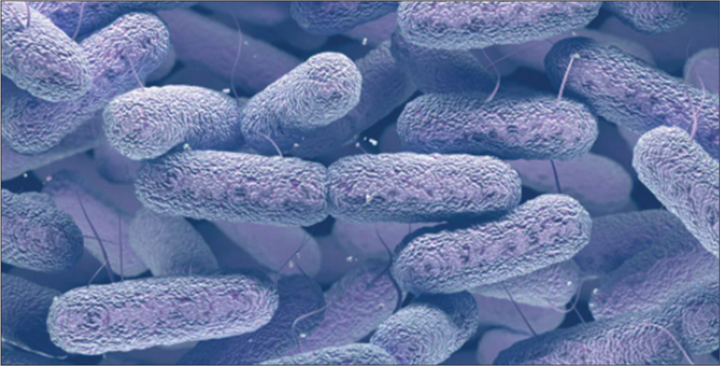 Klebsiella pneumonia (Source: Korvick et al., 1991).[83]