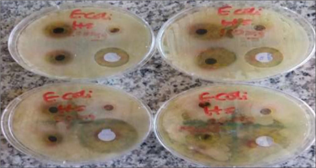 Antibacterial activity on Escherichia coli (Source: Kin et al., 2018).[24]